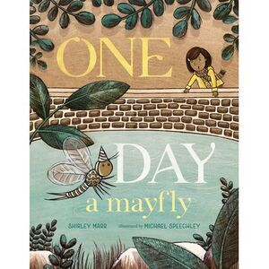 One Day a Mayfly -- Shirley Marr